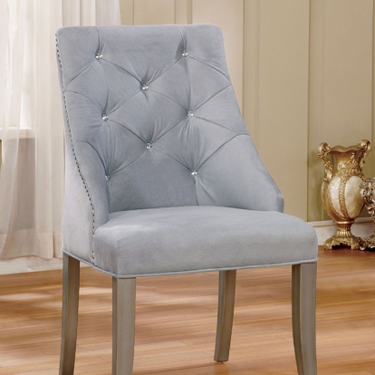 Furniture Of America Diocles Transitional Silver/Gray Side Chair (2/Box) Model CM3020SC-2PK