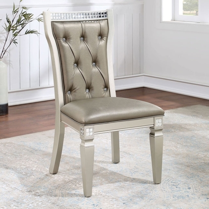 Furniture Of America Adelina Transitional Champagne/Warm Gray Side Chair (2/Box) Model CM3158SC-2PK