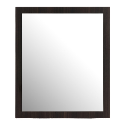 LA Furniture Velondra Modern Eucalypto Mirror VGACVELONDRA-BRN-MIR Contemporary Style by Vig Furnitrue Number 78913 Catch Home Goods